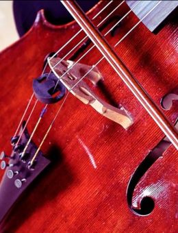 Même instrument, même passion | Violoncelle et contrebasse | Conservatoire de musique de Rimouski