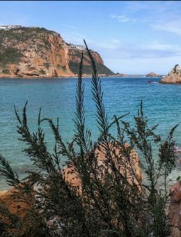 Cinéma Lido | Les aventuriers voyageurs - Afrique du Sud 2 – sur les routes