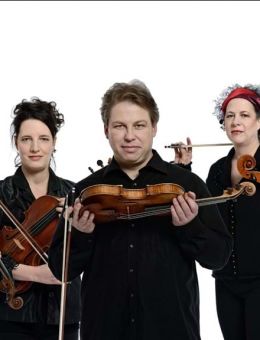 Quatuor Bozzini