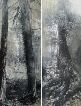 Triptyque représentant des arbres dans des teintes de gris. 