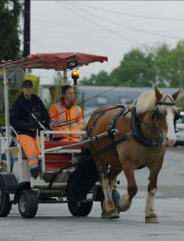 Cinéma Paraloeil | Au son des sabots 