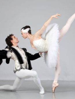 Salle Desjardins | Spect'Art | Le lac des cygnes