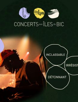 collectif9 x Ronny Desinor | Inclassable, Irrésistible, Détonnant