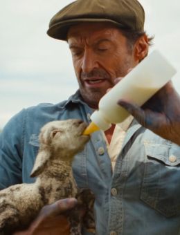 Cinéma Lido | Les moutons détectives