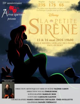 petite sirène - amalgame