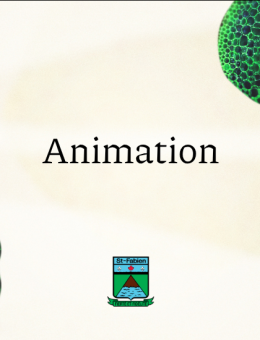 Animation