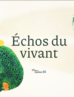 Échos image