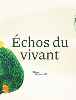 Échos image