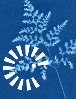 Cyanotype