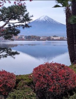 Cinéma Lido | Les Aventuriers voyageurs | Japon | Lumière d'automne