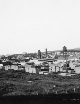 Le patrimoine forestier de Rimouski