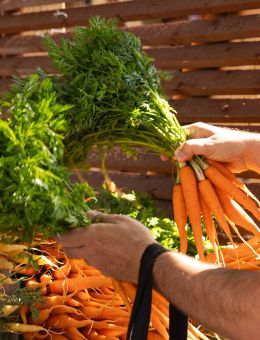 Activité marché
