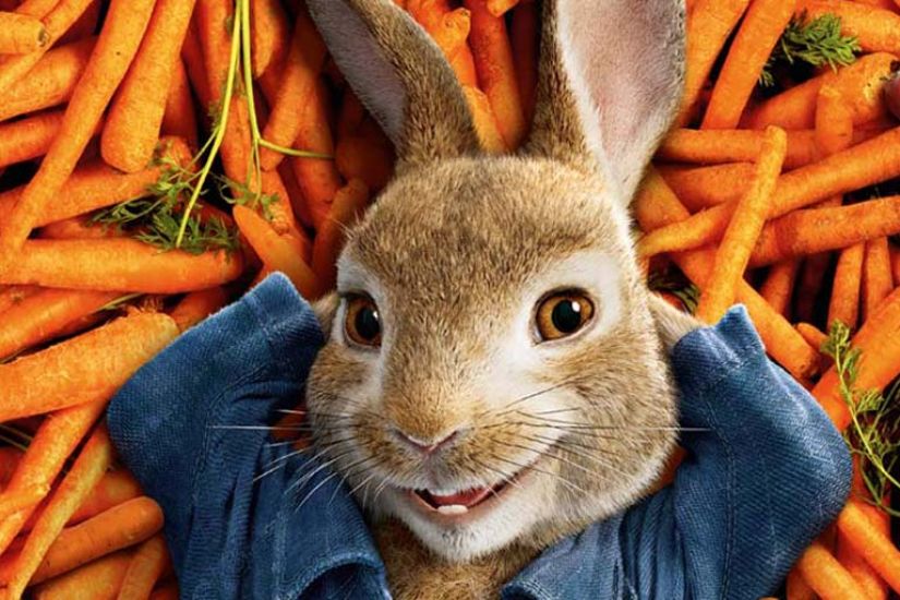 Pierre Lapin | Quoi vivre à Rimouski