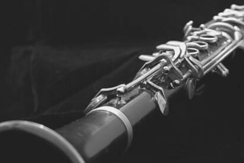 Même instrument, même passion : clarinette et hautbois