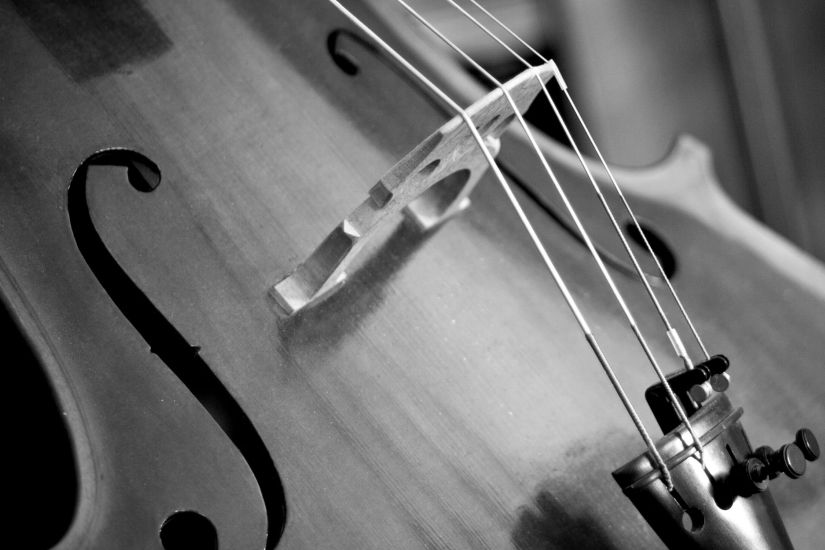 Même instrument, même passion : contrebasse et violoncelle