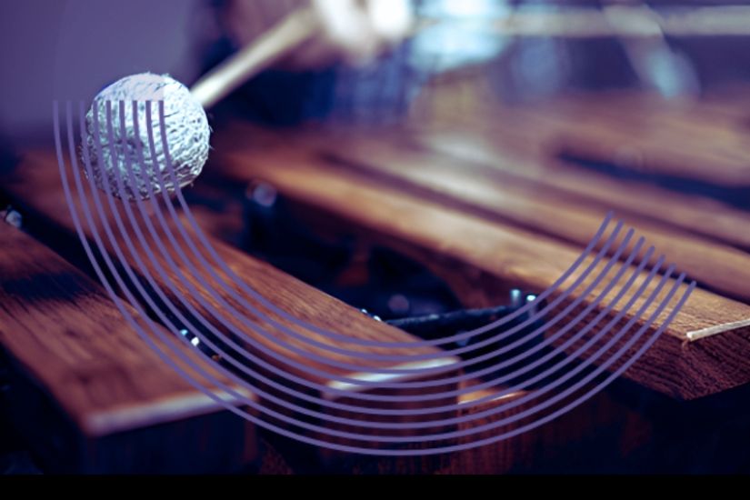 Même instrument, même passion : percussion