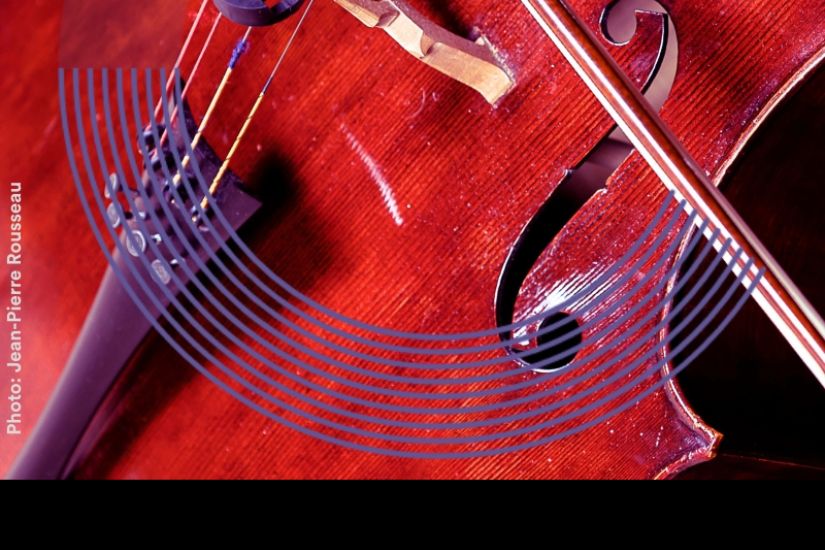 Même instrument, même passion : violoncelle et contrebasse