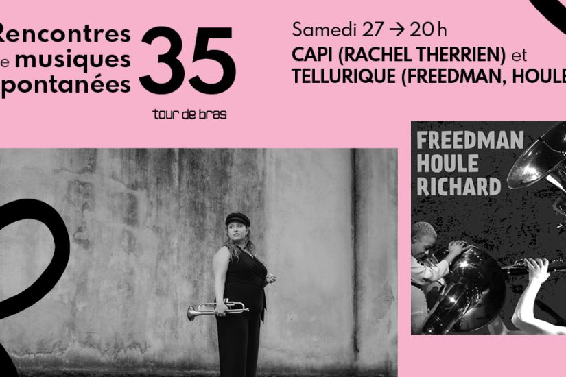 CAPI et Tellurique (Freedman, Houle, Richard)