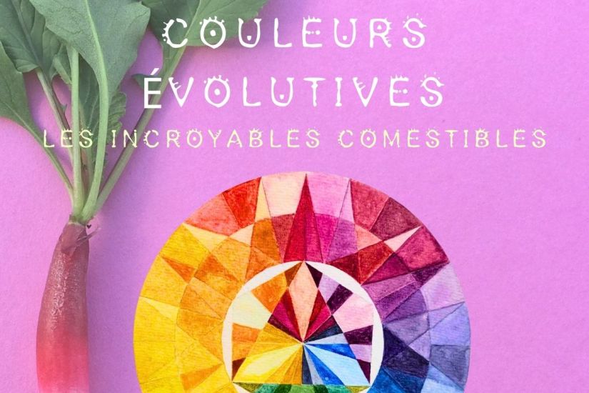 Complet - Atelier sur les pigments ancestraux | Les incroyables comestibles