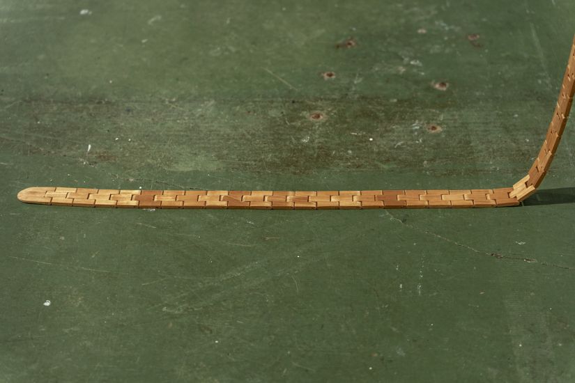 Discussion arts + sciences: génétique, loups, chiens, bois