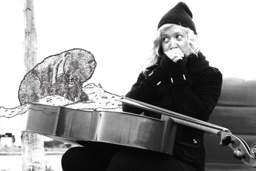 Massy Emond et Herbes Communes