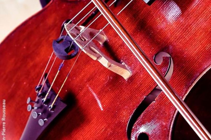Même instrument, même passion | Violoncelle et contrebasse