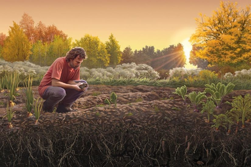 Projection du film Humus de Carole Poliquin