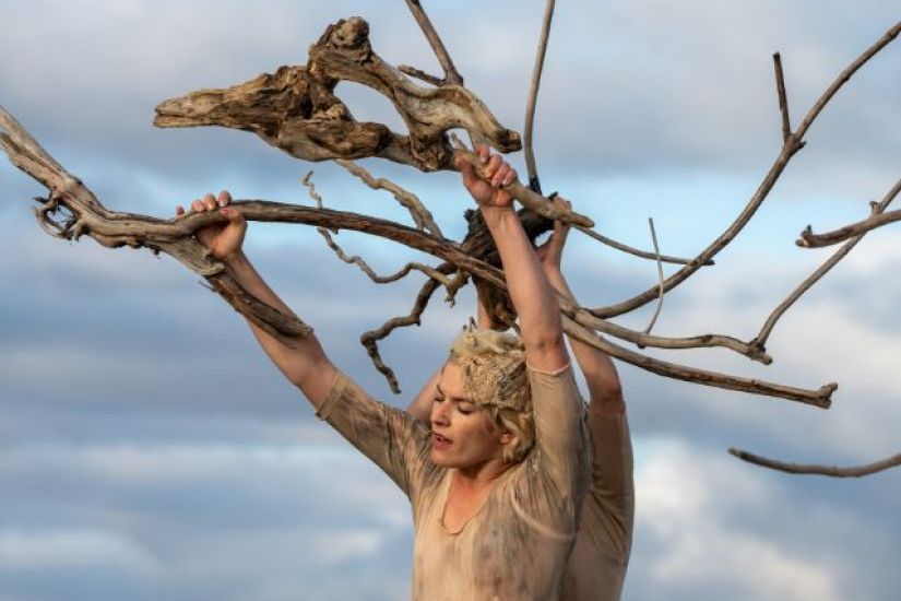 Animation de rue | Êtres de bois