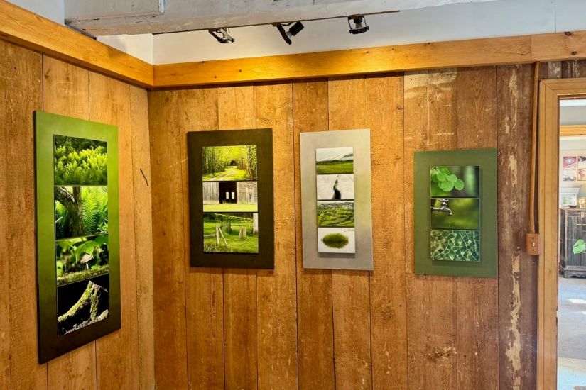 Galerie d&#039;art | Vu en pointillés