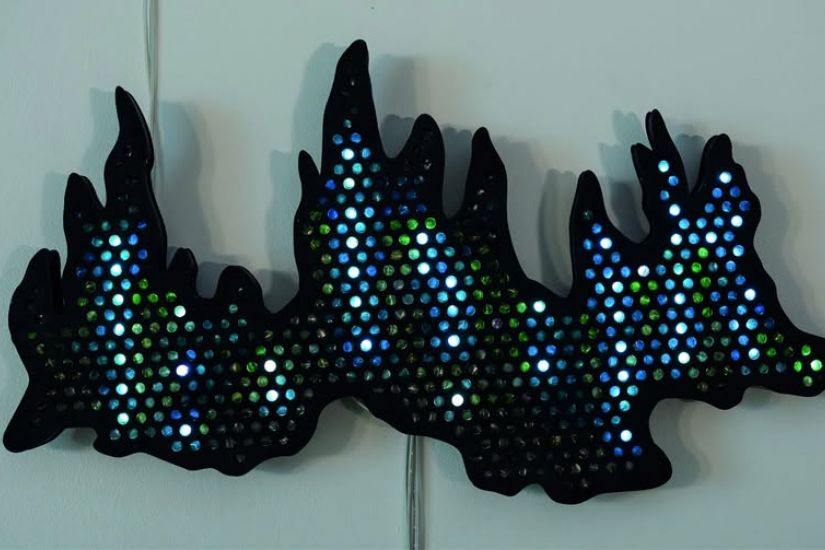 art s+ sciences: bioluminescence, espèces marines et écosystèmes