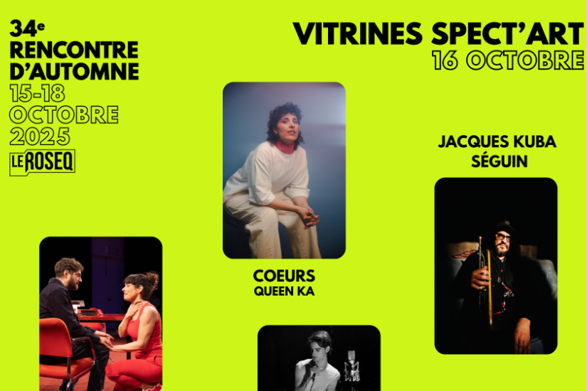 Vitrine ROSEQ | Théâtre bistouri, Queen Ka, Louis-Julien Durso, Jacques Kuba Séguin