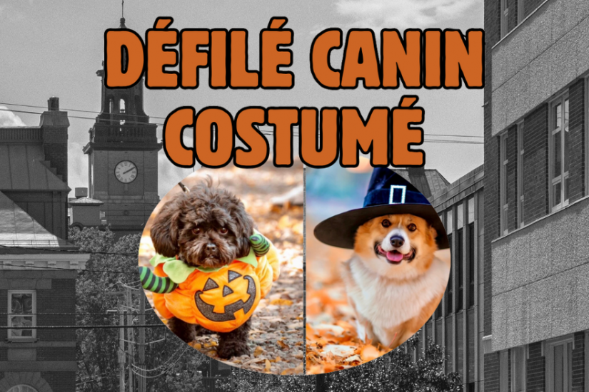 Défilé canin costumé | Circuit Évêché