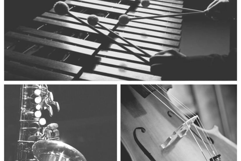 Les Dimanches musicaux | Instrumentistes variés