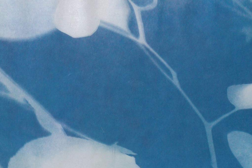 Cyanotype au littoral