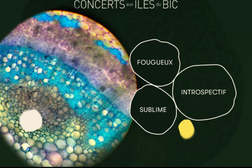 Transfiguration – Concert d’ouverture