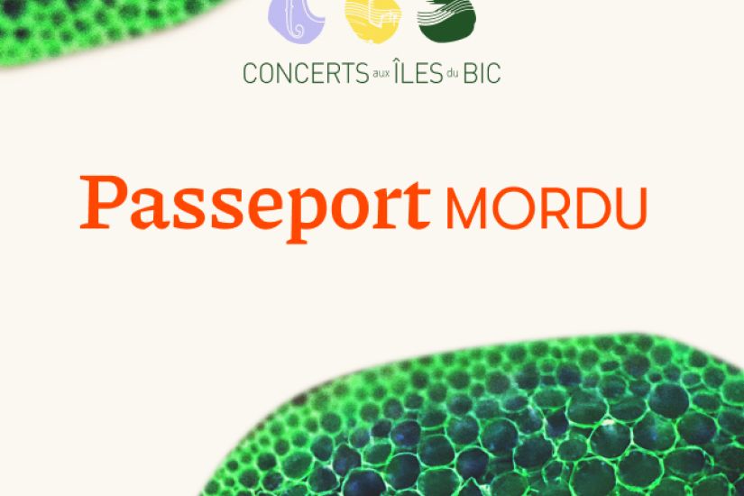 Passeport Mordu