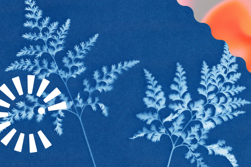 Cyanotype au littoral