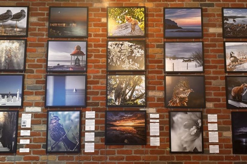 Exposition | Le Bas-Saint-Laurent dans toute sa splendeur