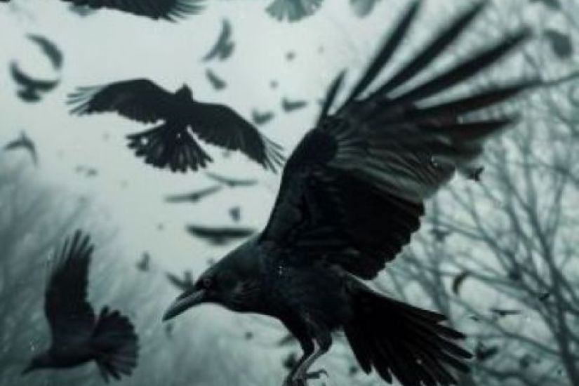 La tempête des corneilles