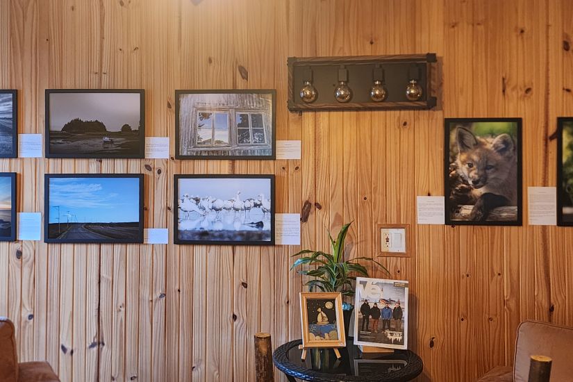 Exposition annuelle du Club de photographie de Rimouski